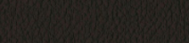 Array