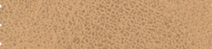 Array