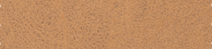 Array